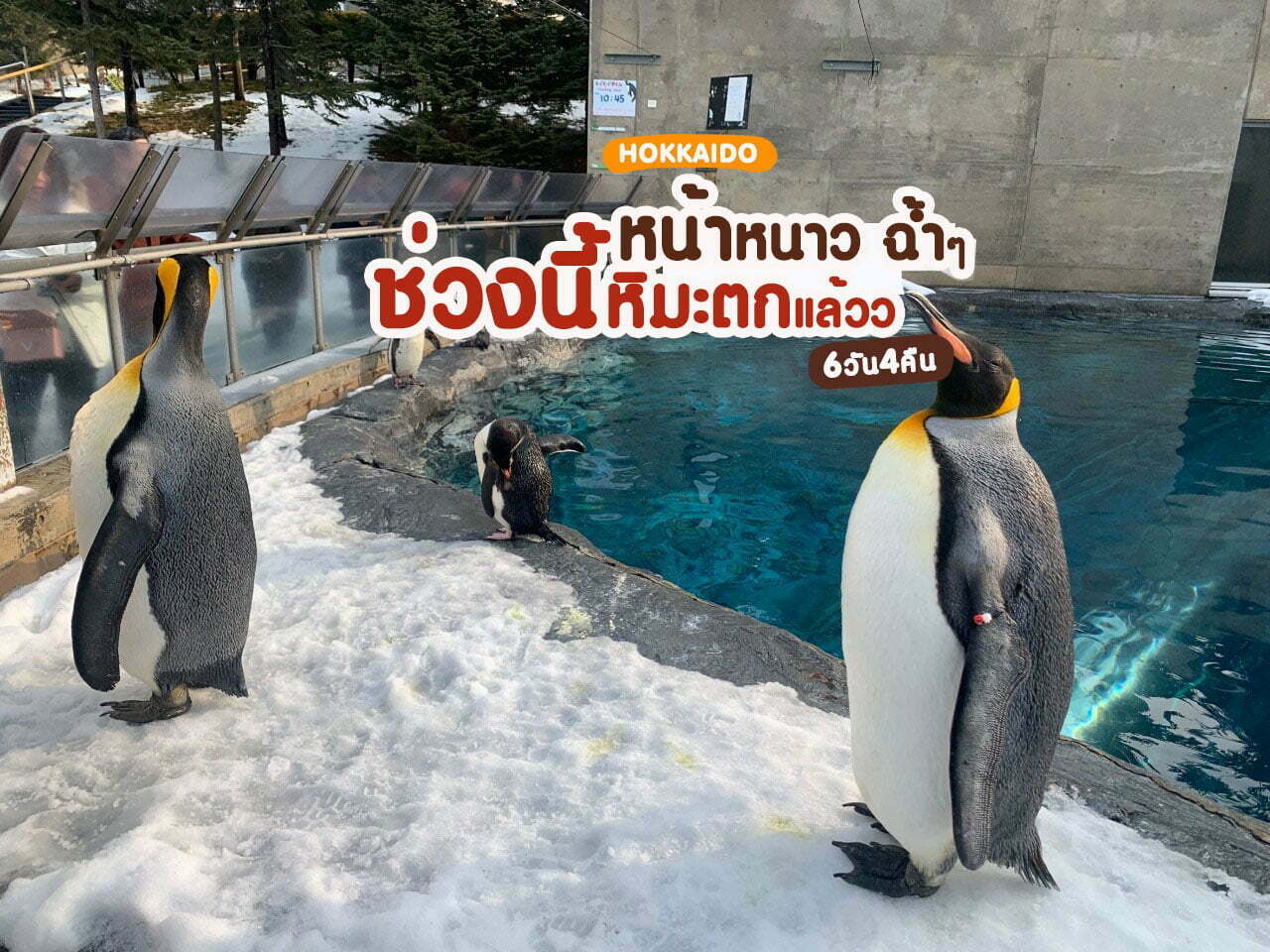 ทัวร์ญี่ปุ่น ฮอกไกโด