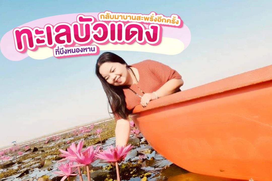 ทะเลบัวแดง ที่บึงหนองหาน อ.กุมภวาปี จ.อุดรธานี กลับมาบานสะพรั่งอีกครั้ง
